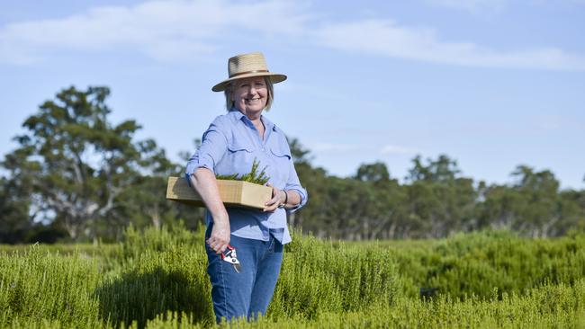 Anita Watt on her Balmoral-based Glenelg River Herbs farm. Picture: Dannika Bonser