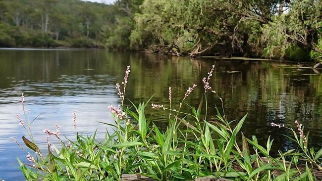 Free swimming spots around the Burnett these school holidays