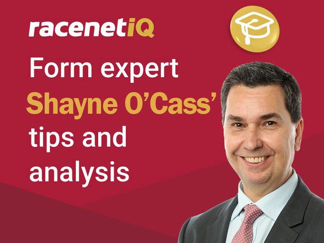 Racenet form analyst Shayne O'Cass.