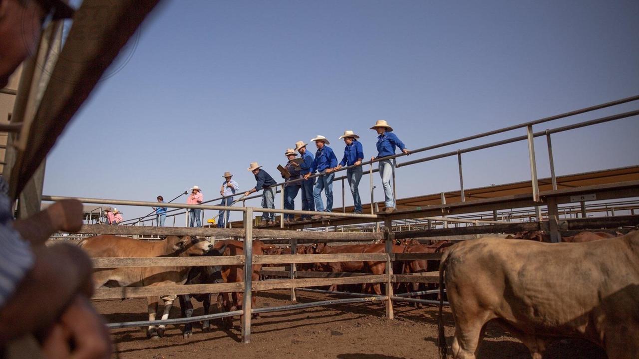 The next Roma Saleyards Store Sale on Tuesday September 26 will donate 50% of proceeds to LifeFlight Australia.