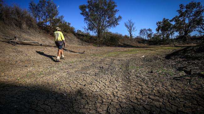 Farmer Johnnie McKeown walks in the dried-up bed of the Namoi River near Walgett on October 6, 2019. (Photo by David Gray/Getty Images)