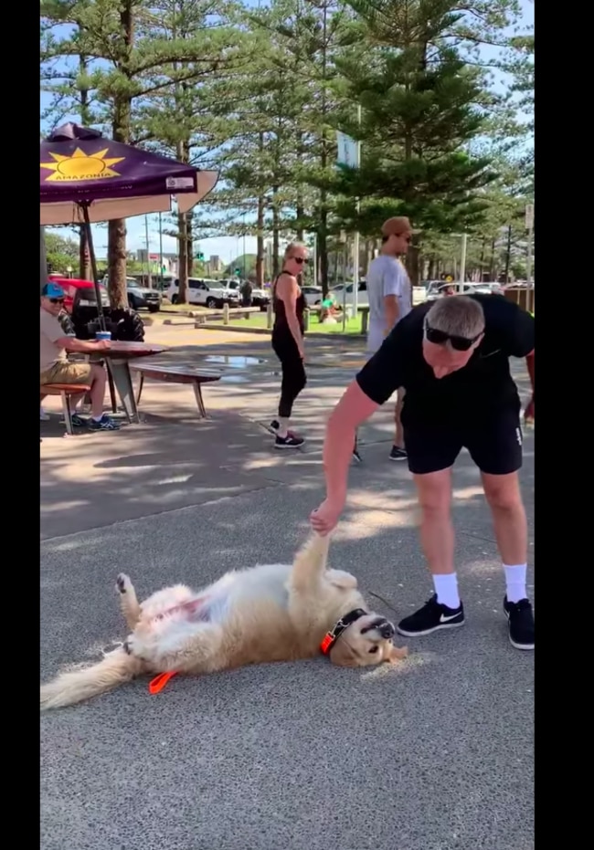 Elsie and her owner Mike Cook are best friends, even though she likes to play dead in the middle of the street. Photo: Nicola Booth.