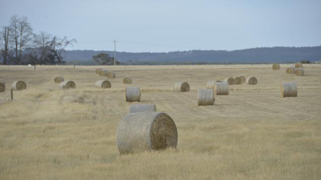 Rolled up: Victorian hay market has lost almost all of its summer surge. Picture: Dannika Bonser