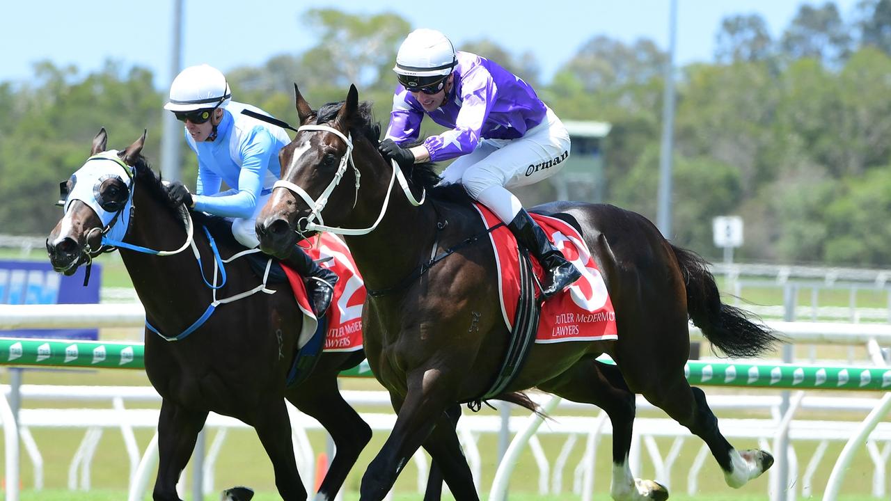 Chris Waller wins David v Goliath battle at Sunshine Coast | news.com ...