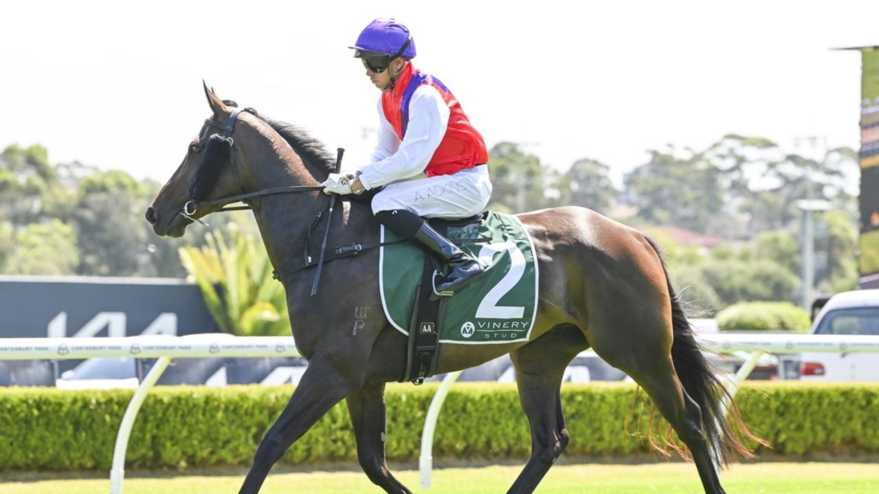 Kensington preview: A win is brewing for Freedman’s gelding