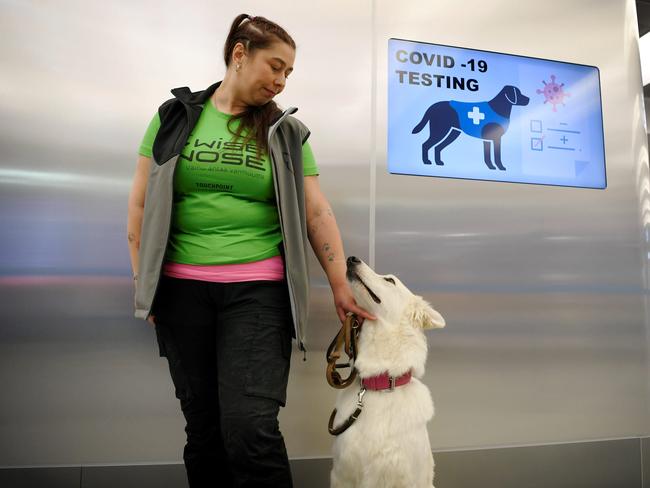 A coronavirus sniffer dog named E.T. with trainer Anette Kare at the Helsinki airport in Vantaa, Finland. Picture: AFP