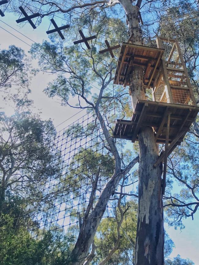 TreeClimb. Picture: Grays PR