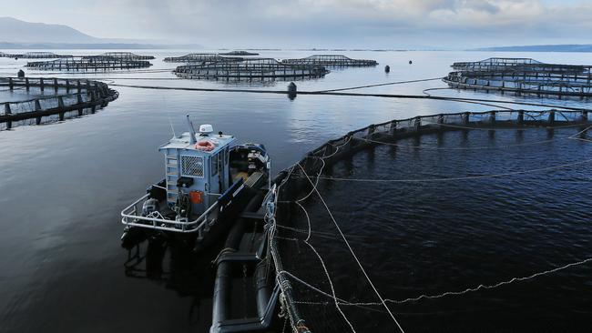 Tassal salmon pens, in Macquarie Harbour, Strahan, West Coast of TasmaniaPicture: MATHEW FARRELLfish / pen / salmon / farm / fish farm / net / cage / aquaculture