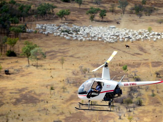 Man hospitalised after helicopter crash near Chinchilla