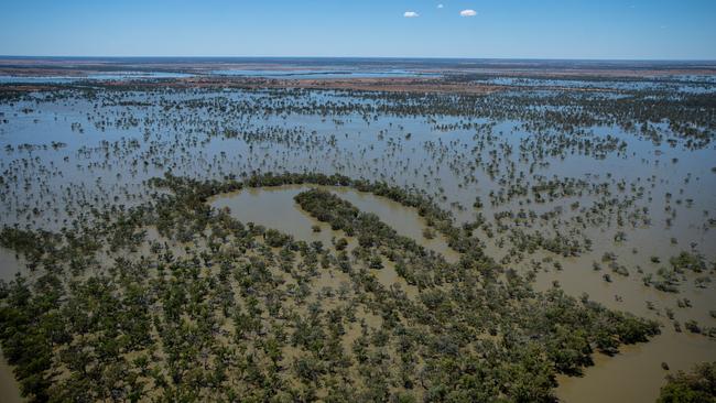 Flooding is seen in the Menindee area. Picture: NCA NewsWire/pool/Samara Harris