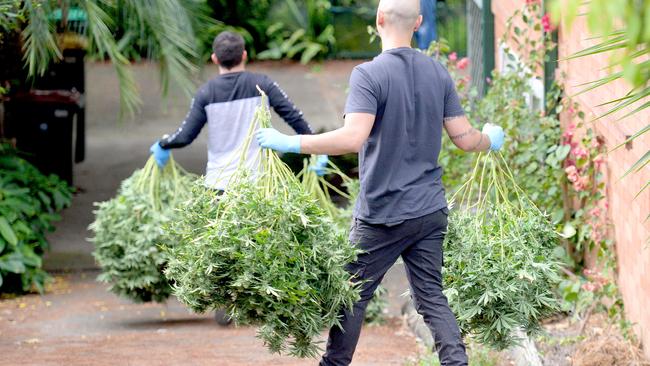 ​Craig Wells appeared in Melbourne County Court on Wednesday to plead guilty to cultivating a commercial quantity of cannabis in his family’s Kangaroo Flat property. Photo Jeremy Piper