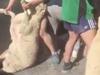 ‘Unjustifiable behaviour’ in rugby drill