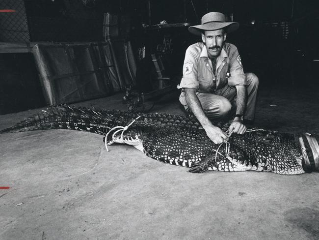 Conservation Commission Officer Dave West with a crocodile caught at Buffalo Creek.