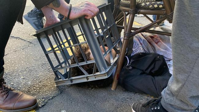 Mert Ney was detained by members of the public.