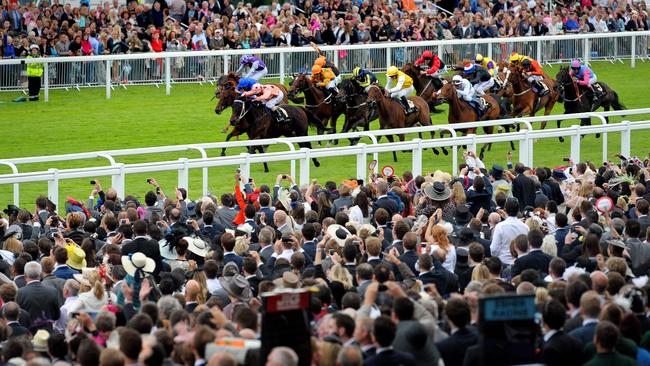 Black Caviar at Royal Ascot.