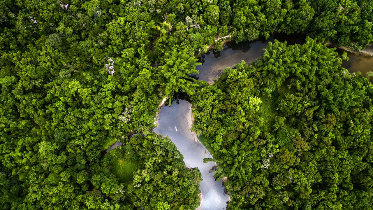 Aerial View of a Rainforest in Brazil