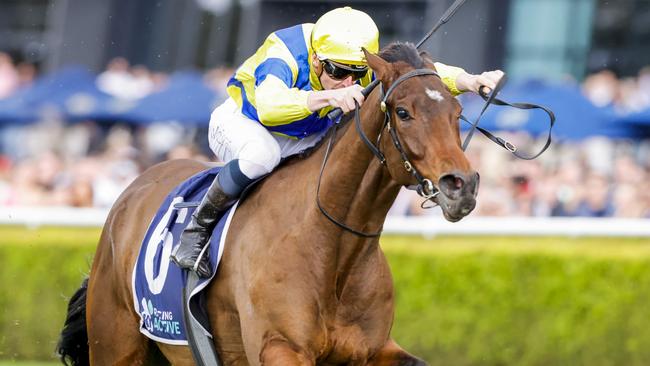 Mahagoni can make it back-to-back wins after his impressive performance here last start. Picture: Getty Images