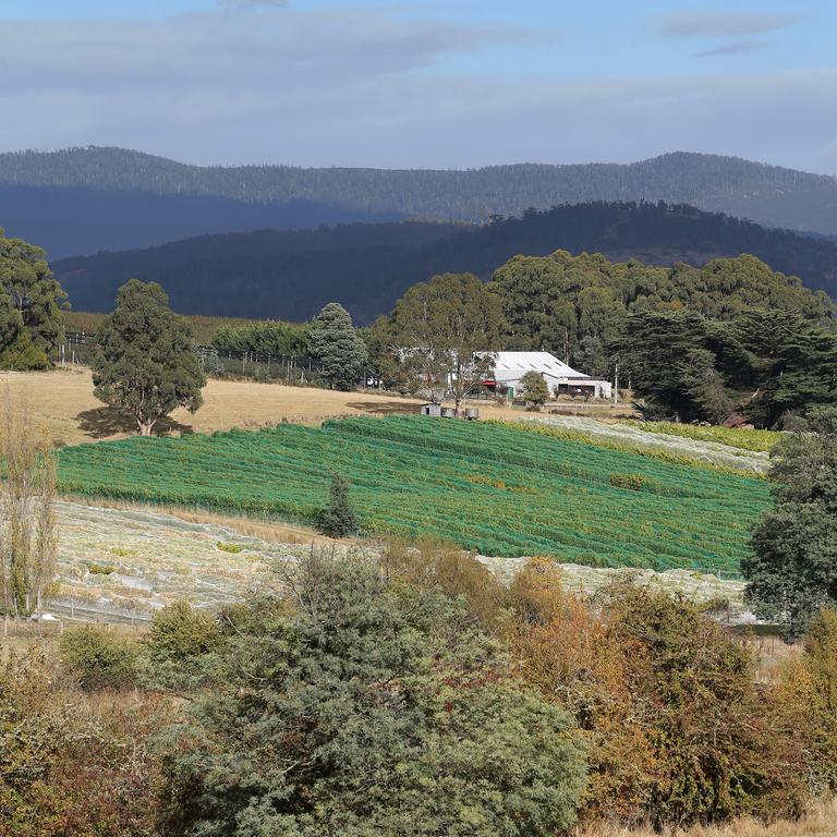 The view from Fat Pig Farm's dining hall. Picture: Luke Bowden