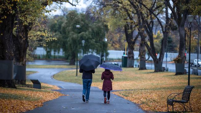 Wet weather and autumn leaves fall in Melbourne. Picture: Jason Edwards