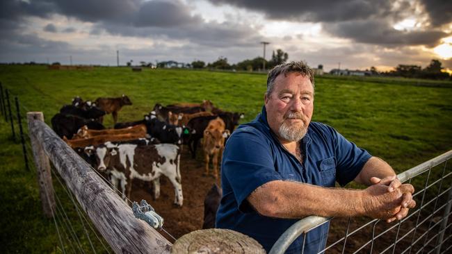 Mount Gambier region dairy farmer John Hunt. Picture: Tom Huntley