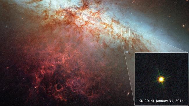 A supernova from our nearby galaxy M82 about 11.5 million light-years from Earth.