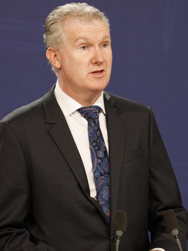 Tony Burke. Picture: Tim Pascoe