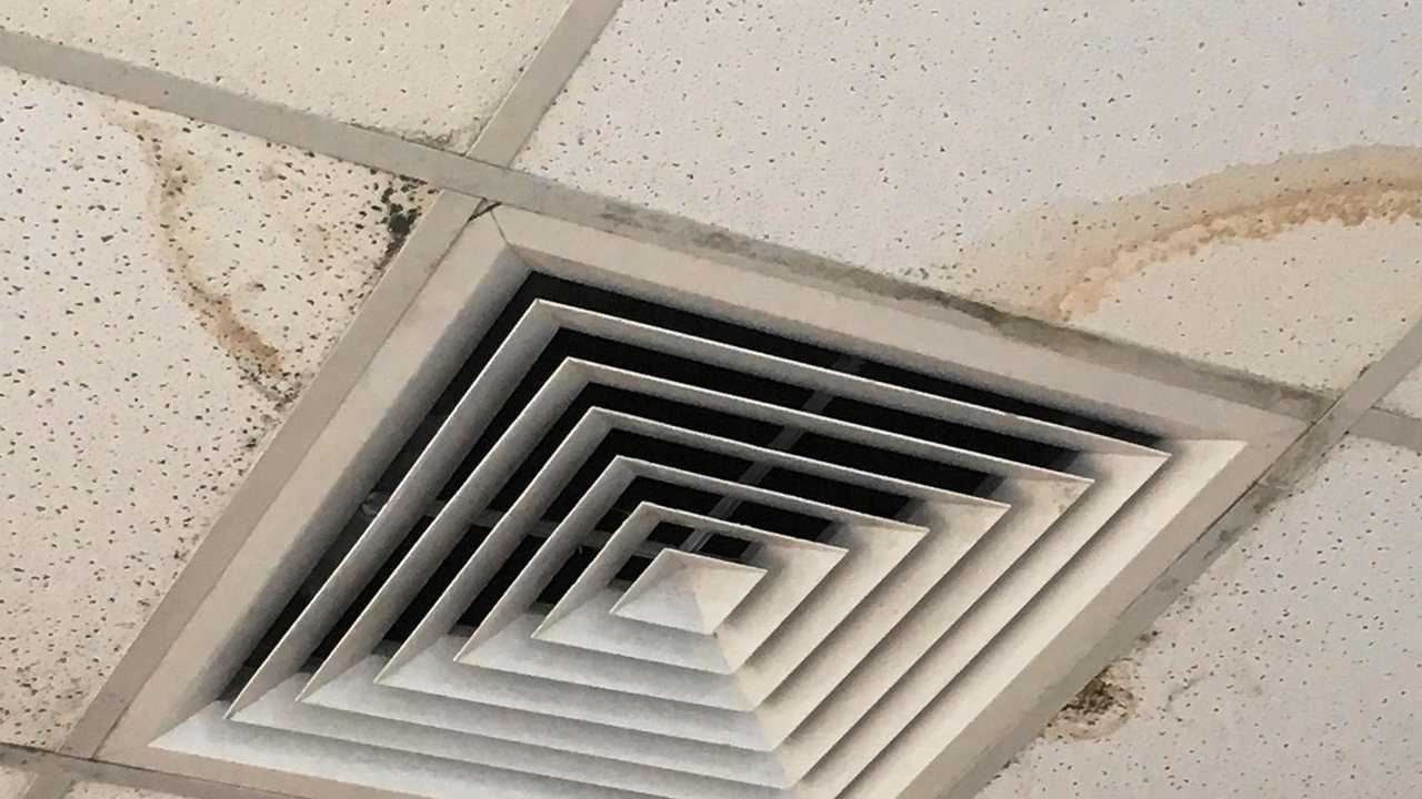 A customer snapped mould growing on the ceiling of Ballina KFC.