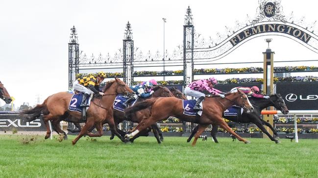 Gentleman Roy wins the Kentucky Bluegrass Handicap at Flemington Picture: Brett Holburt/Racing Photos via Getty Images