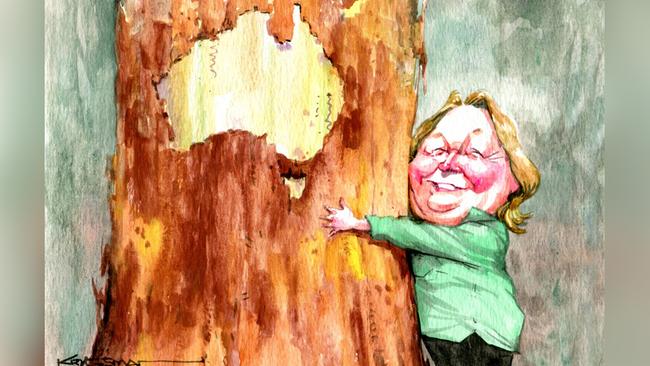 Greening Australia’s new boss, Heather Campbell. Illustration: Sturt Krygsman