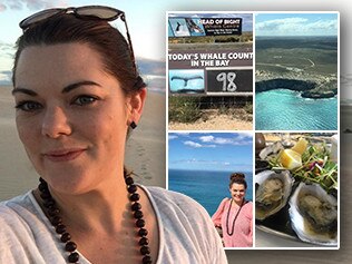 Sarah Hanson Young on her trip to 'see the whales'. Photos: Facebook/Sarah Hanson-Young