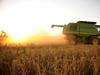 Price by region: How much could your farm be worth?