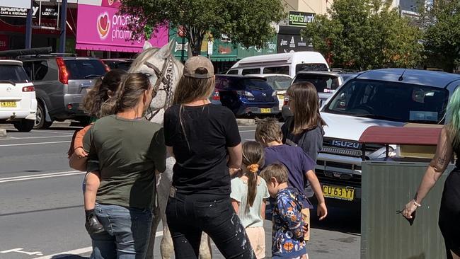 A horse is surrounded by onlookers outside Murwillumbah Local Court on September 22, 2021.