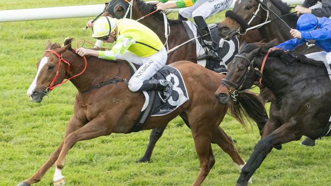 Joe Pride is contemplating starting Eduardo in the Classique Legend Stakes in two weeks. Picture: Getty Images