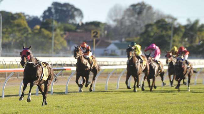 Kristen Buchanan-trained Jazzland was the winner of the South Grafton Cup, piloted by Koby Jennings during South Grafton Cup Day on Sunday, July 5, 2020.