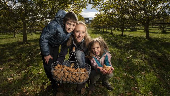 Coaldale Walnuts owner Sophie Milic and her children Jasper 8 and Annie 6 at Richmond. Picture: Chris Kidd