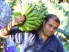 Minns’ secret cuts to dam capacity leaves farmers out to dry