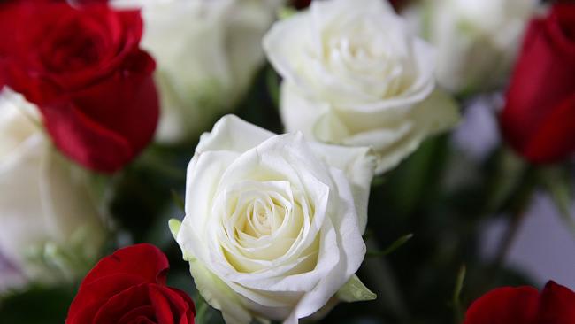 White and yellow roses were a popular funerary choice at Rookwood's Village Flower Shop.