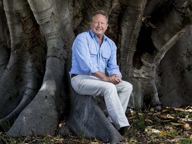 Man on a mission … Andrew ‘Twiggy’ Forrest is the WA Australian of the Year finalist for 2017. Picture: Matthew Poon