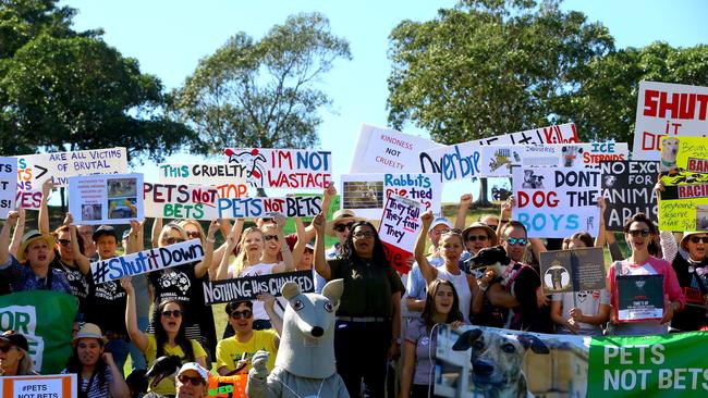 Protesters renew calls for the industry to be shut down at a rally on Saturday at Sydney Park. Pictures: AAP/Jeremy Ng.