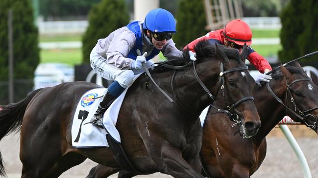 MELBOURNE, AUSTRALIA - SEPTEMBER 07: Ben Melham riding Angel Capital defeats Bosustow in Race 7, the Mcmahon's Dairy Mckenzie Stakes - Betting Odds  during Melbourne Racing at Moonee Valley Racecourse on September 07, 2024 in Melbourne, Australia. (Photo by Vince Caligiuri/Getty Images)