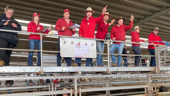 Agents take bids at the Wodonga store cattle sale.