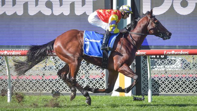 Speedy three-year-old Alpha One can get punters off to a fast start at Saturday’s Flemington meeting. Picture: Racing Photos via Getty Image