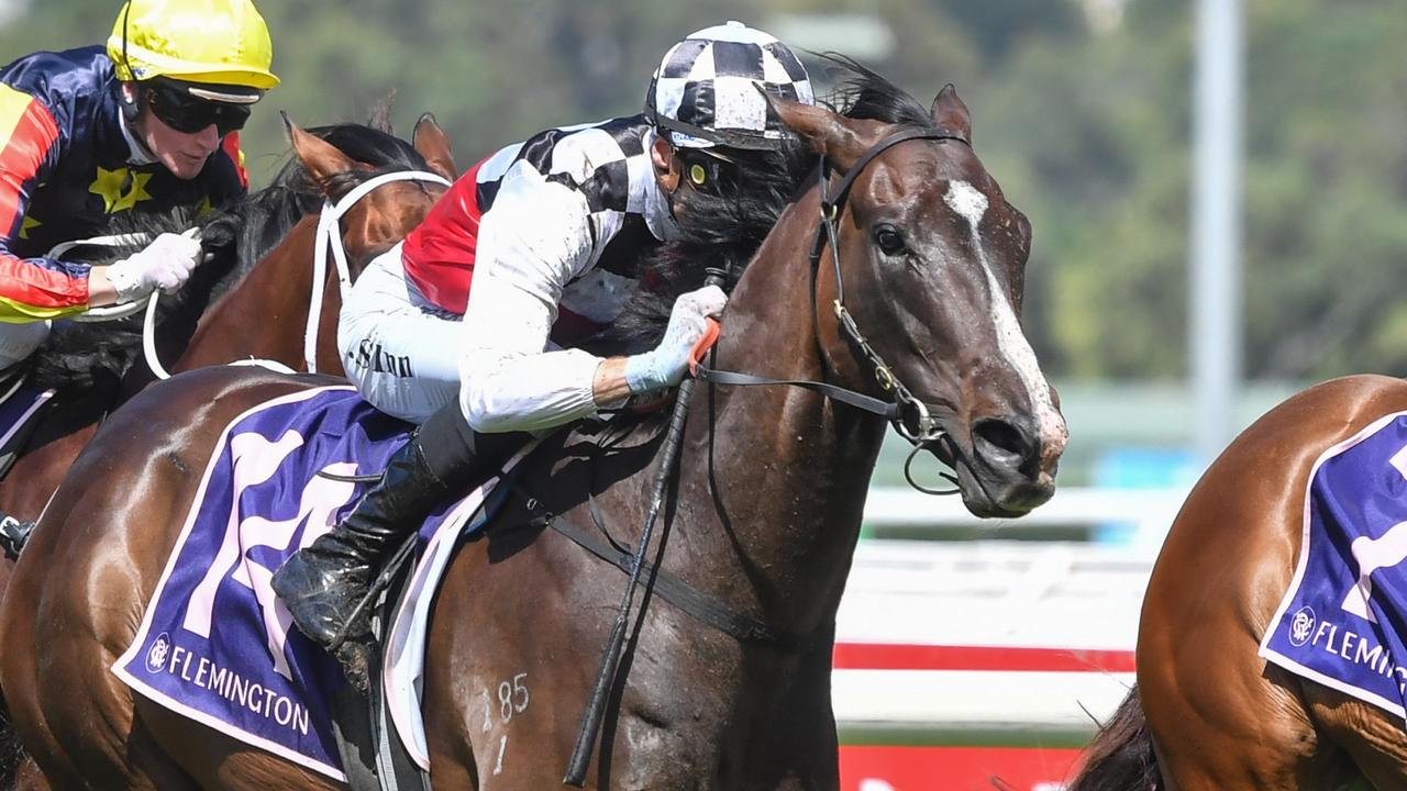 Sepals earns ‘deep end’ tilt at Australian Guineas