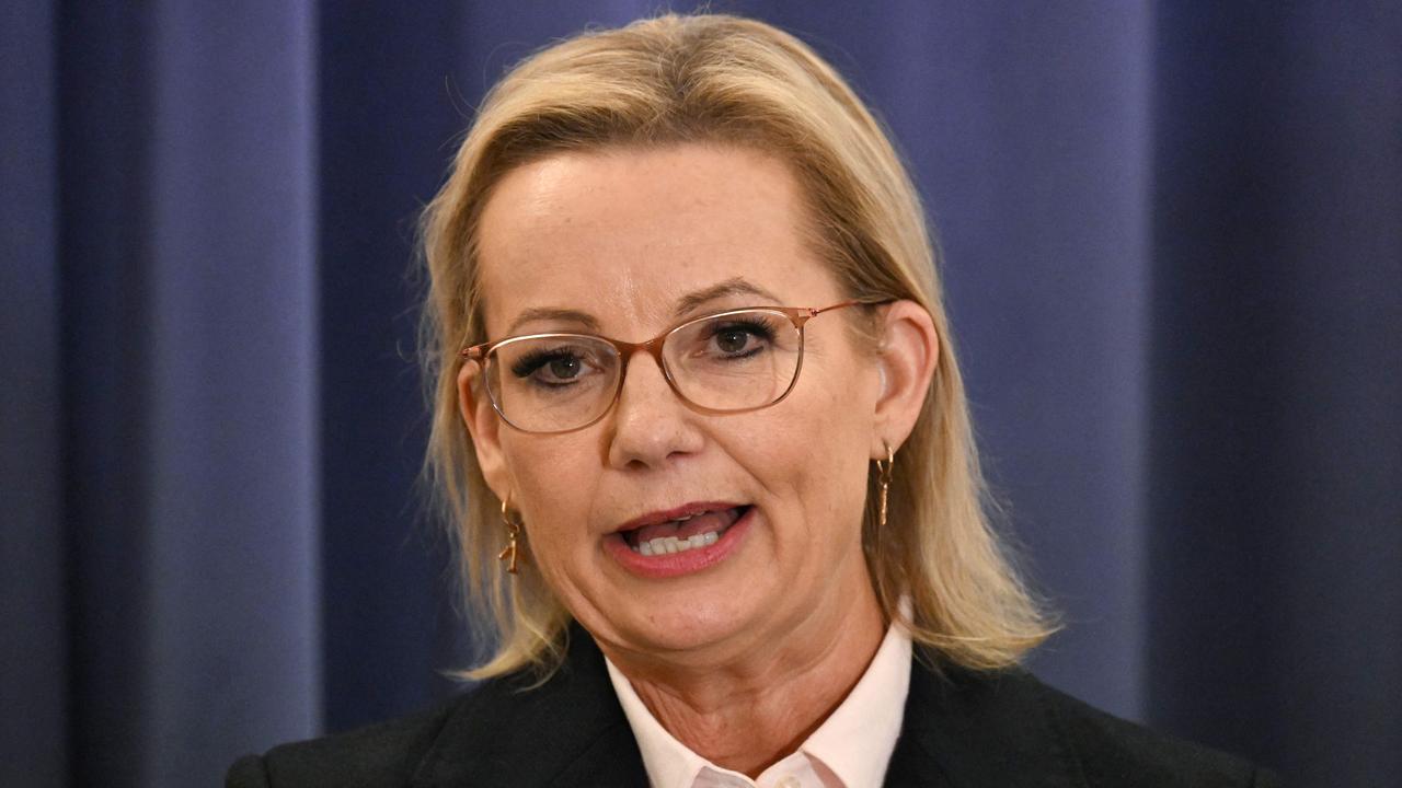 Sussan Ley is proof the merit system works