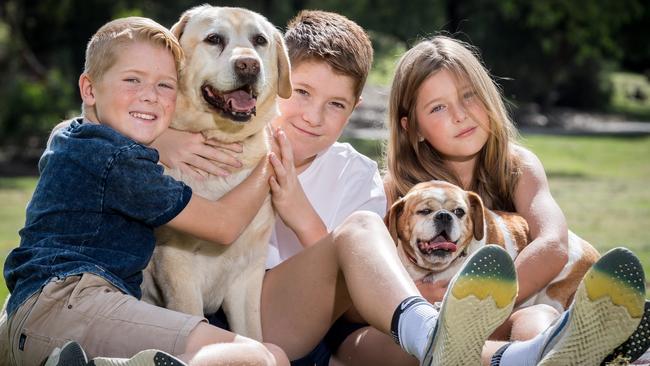 Having a pet can make kids more resilient, confident and enables their ability to make friends. Picture: Jake Nowakowski