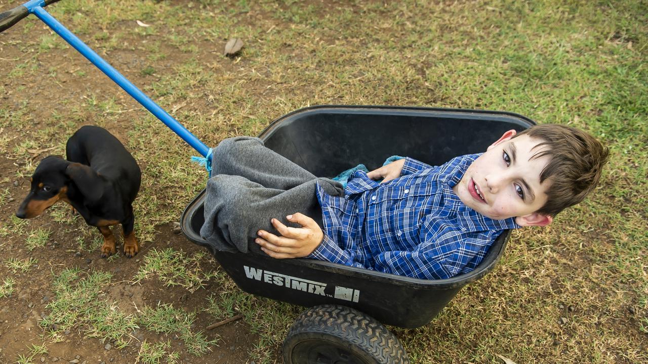 Cerebral palsy sufferer Angus Hopkins in a wheelbarrow with his pet dog ‘Boss.’