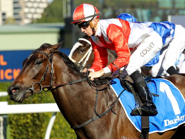 SYDNEY, AUSTRALIA - JUNE 24: Jason Collett riding Aristonous wins Race 5 Bivouac @ Darley during "Civics Stakes Day" - Sydney Racing at Royal Randwick Racecourse on June 24, 2023 in Sydney, Australia. (Photo by Jeremy Ng/Getty Images)