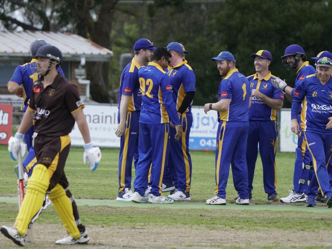 Somerville celebrate a wicket. Picture: Valeriu Campan