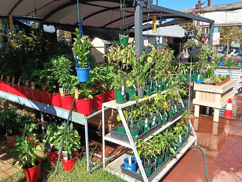 Port Adelaide gardening shop Garden Goodness is closing down. Picture: Supplied