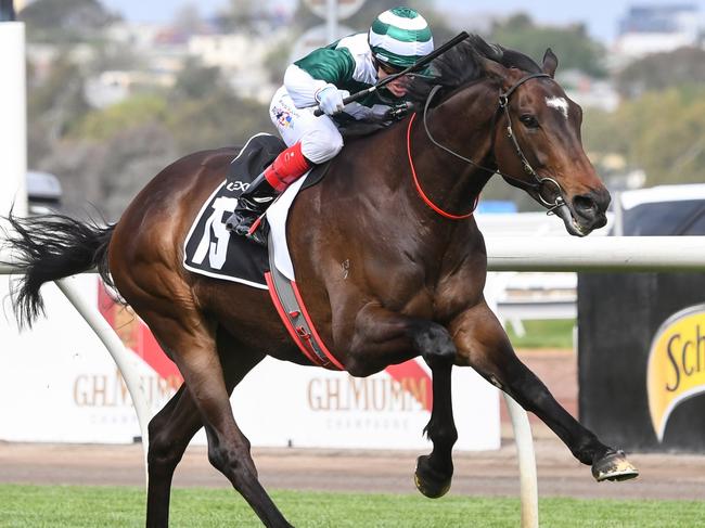 Future History (GB) ridden by Craig Williams wins the The Lexus Bart Cummings at Flemington Racecourse on October 07, 2023 in Flemington, Australia. (Photo by Pat Scala/Racing Photos via Getty Images)